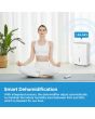 Midea MDDF2-16DEN7-UK 16L Dehumidifier - White